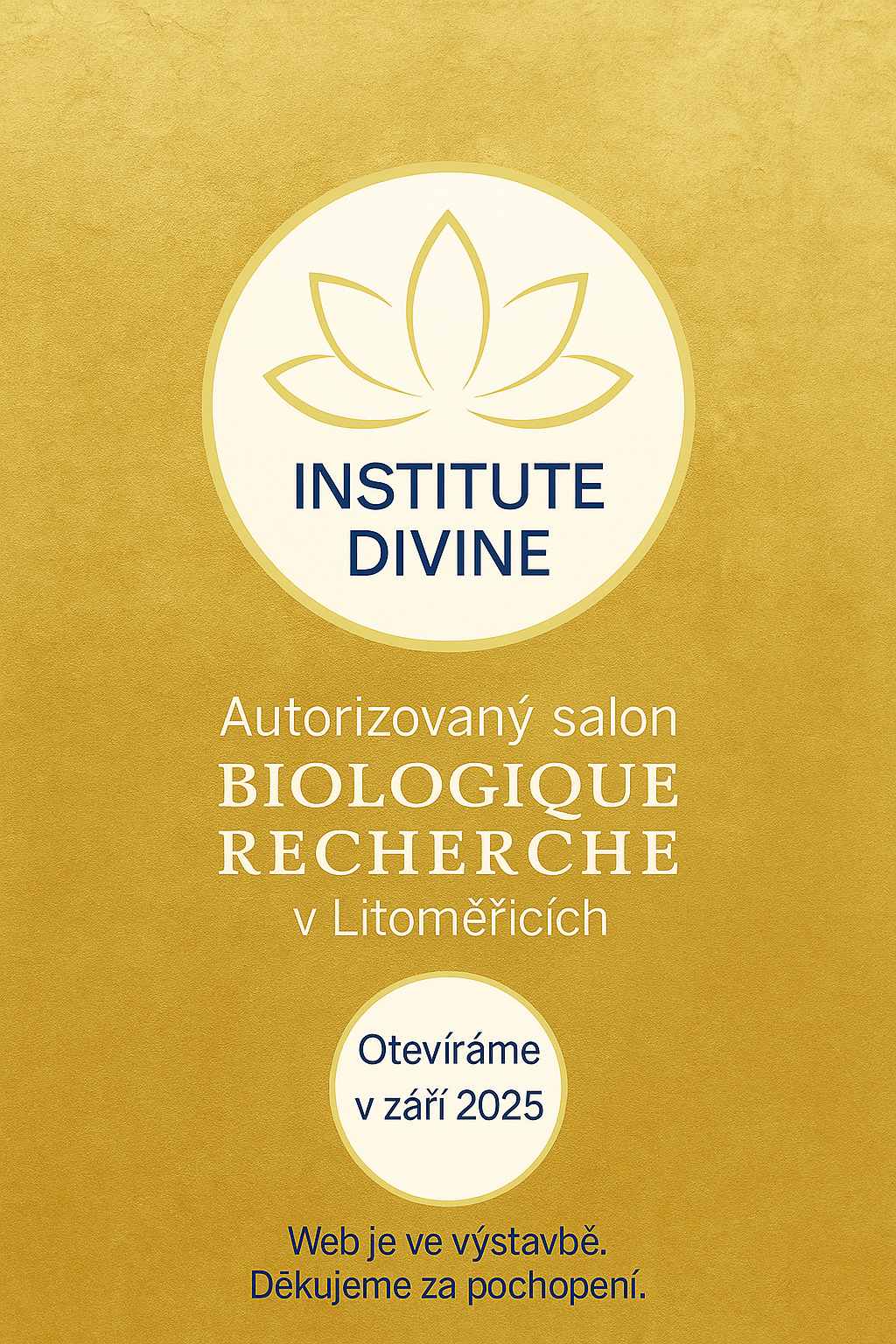 Institute Divine promo